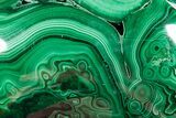 Flowery Polished Malachite Specimen - DR Congo #360806-1